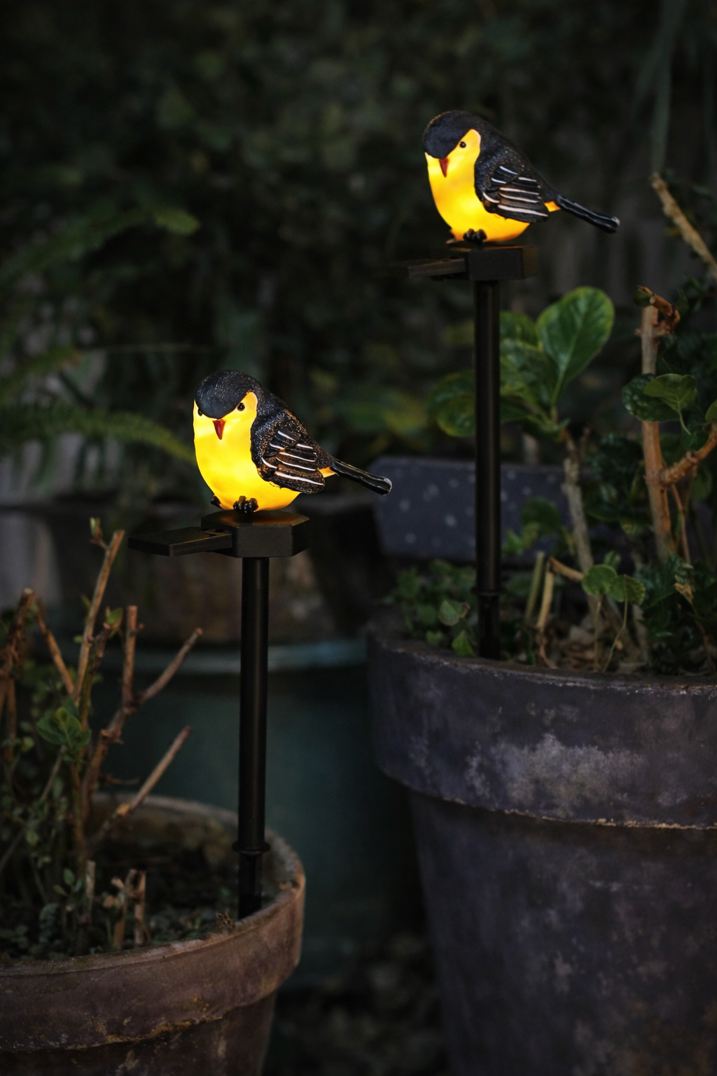 Pajarito Solar LED