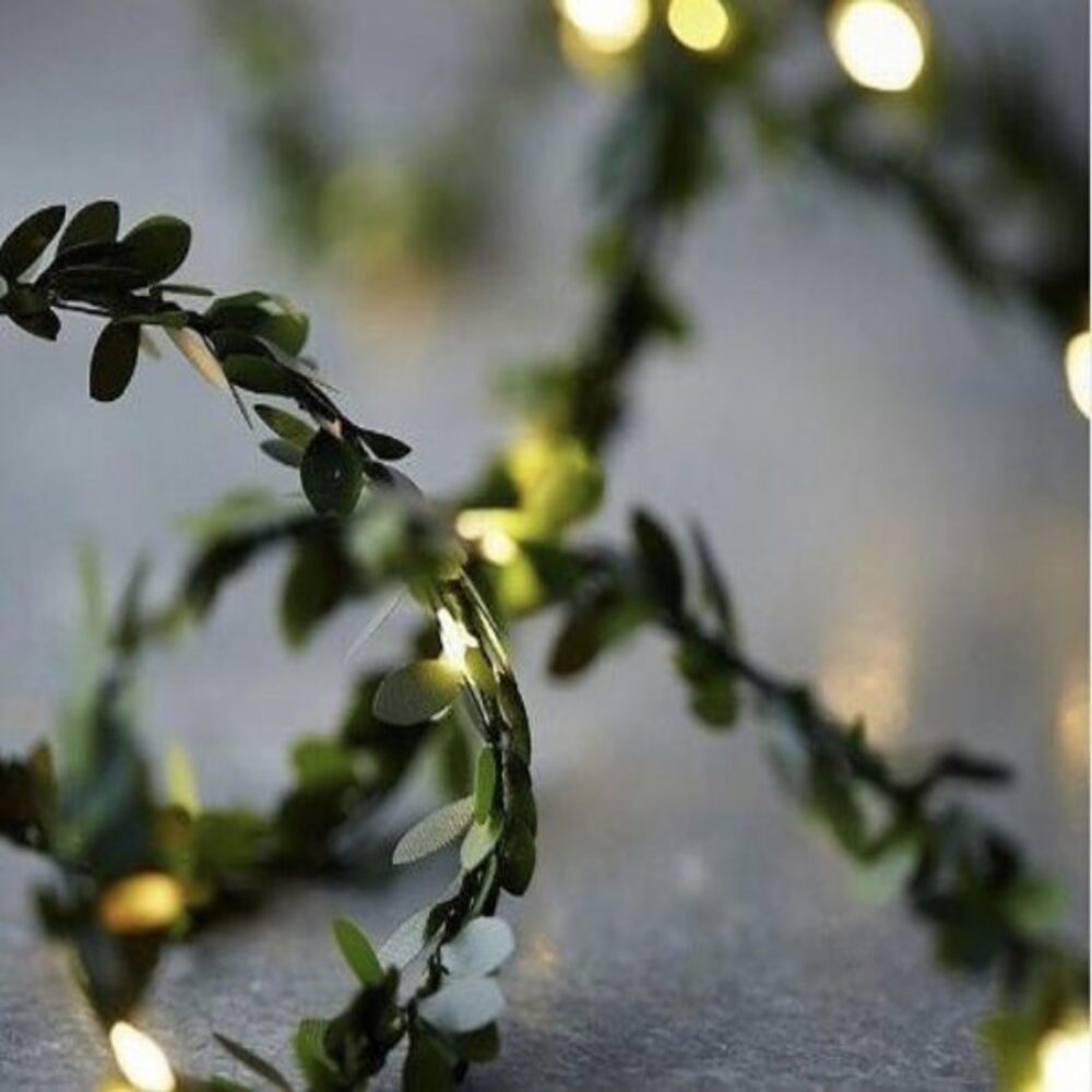Luces Hojas Pilas