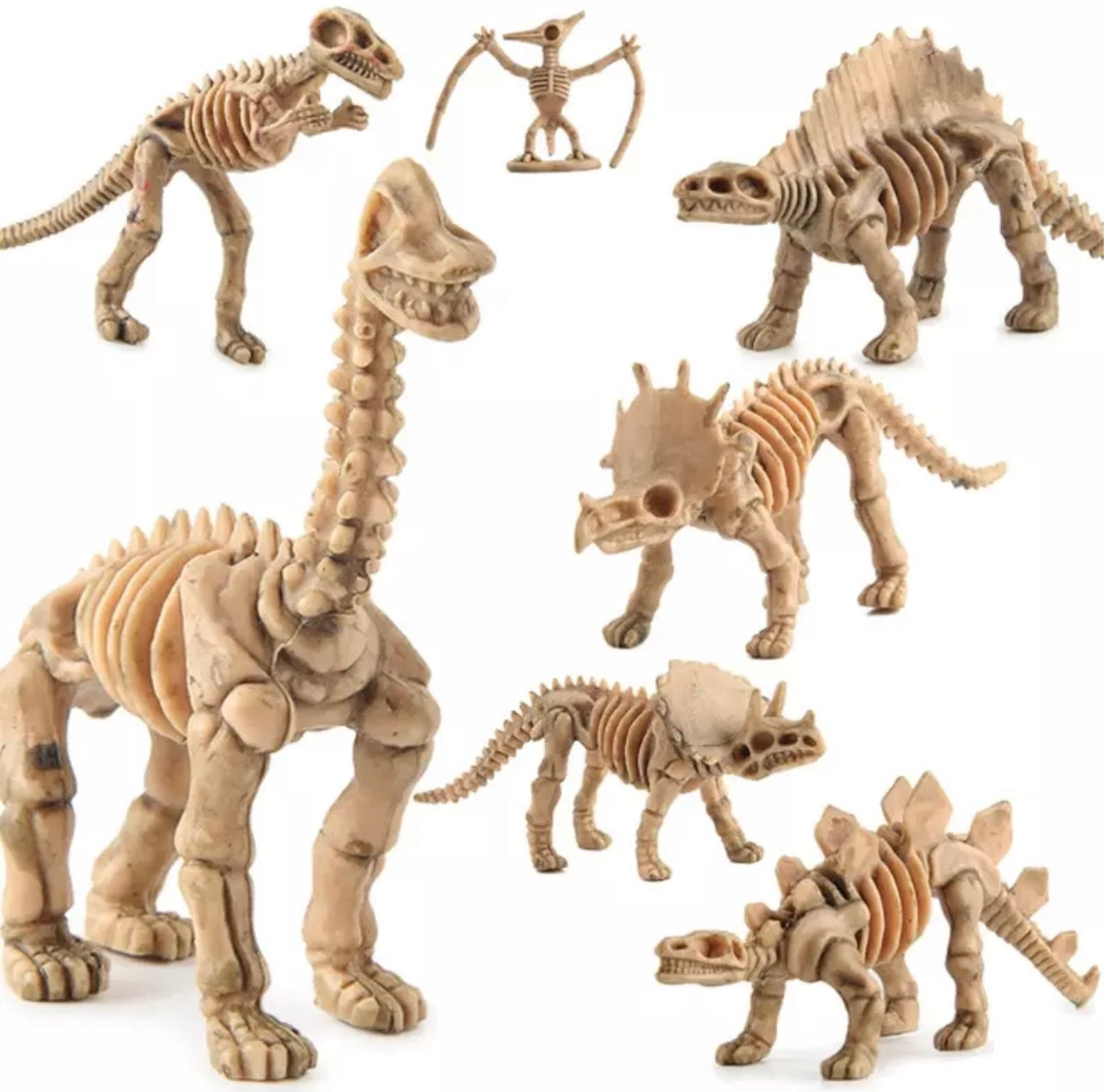Dinosaurios Pack Fósiles